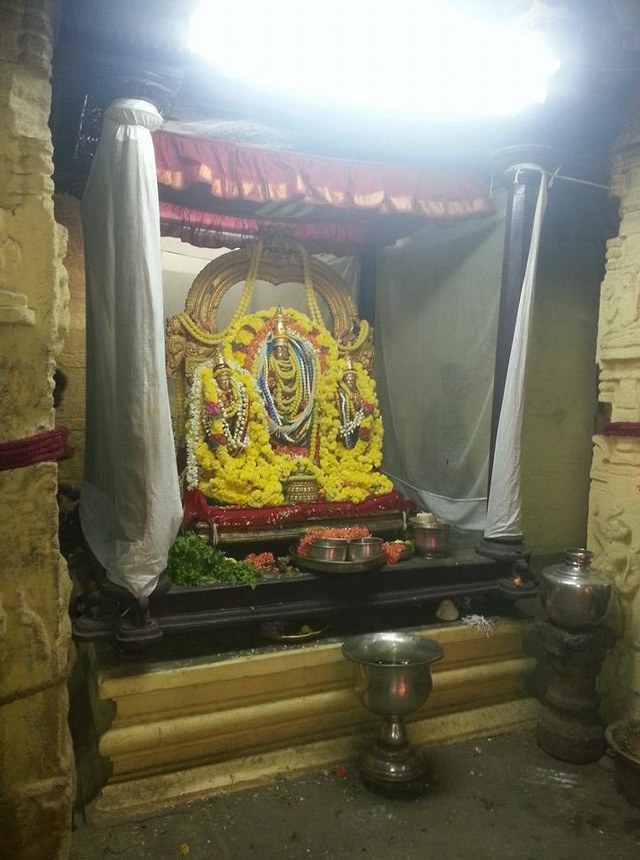 Thiruvallur Sri Veeraraghava Perumal  Temple Pavithrotsavam day 72014 05
