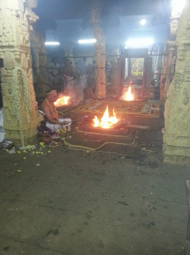 Thiruvallur Sri Veeraraghava Perumal  Temple Pavithrotsavam day 72014 06