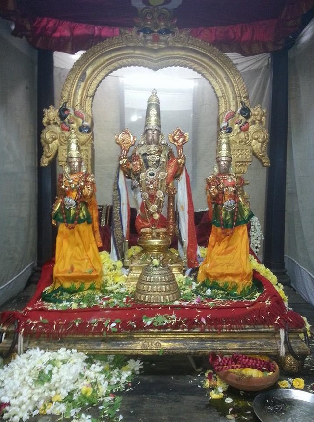 Thiruvallur Sri Veeraraghava Perumal  Temple Pavithrotsavam day 72014 07