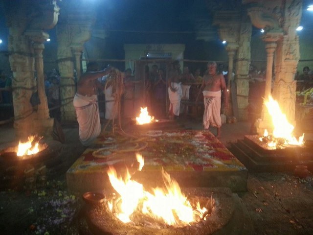 Thiruvallur Sri Veeraraghava Perumal  Temple Pavithrotsavam day 72014 09