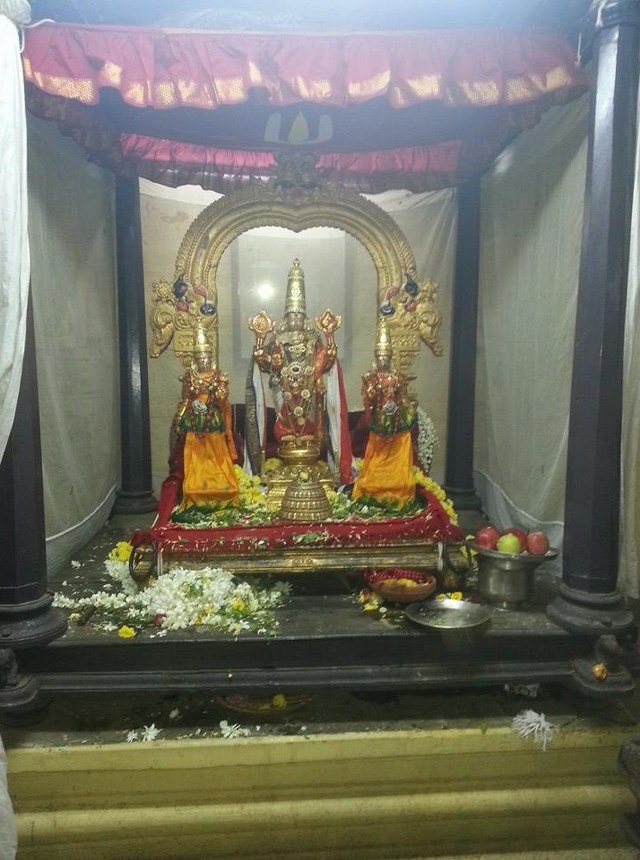 Thiruvallur Sri Veeraraghava Perumal  Temple Pavithrotsavam day 72014 14