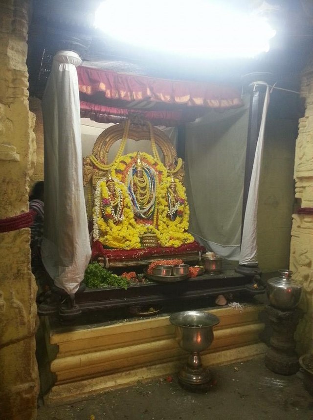 Thiruvallur Sri Veeraraghava Perumal  Temple Pavithrotsavam day 72014 26