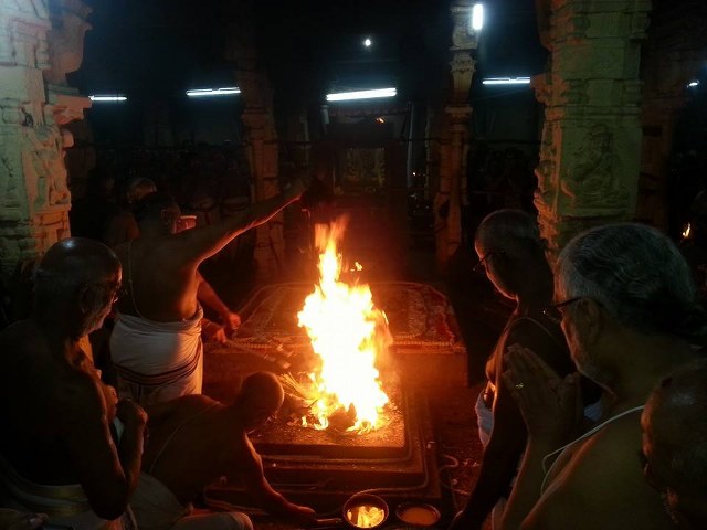 Thiruvallur Sri Veeraraghava Perumal  Temple Pavithrotsavam day 72014 27