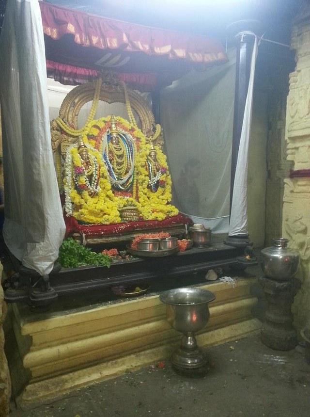 Thiruvallur Sri Veeraraghava Perumal  Temple Pavithrotsavam day 72014 29