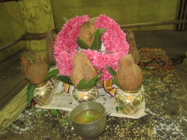 Thiruvallur Sri Veeraraghava  perumal Temple Pavithrotsavam angurarpanam 2014  03