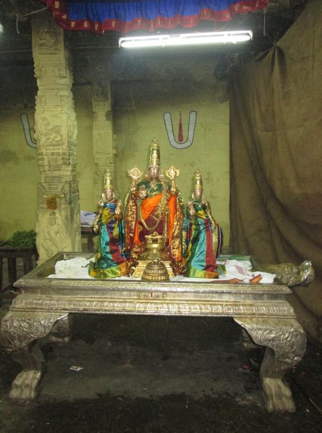 Thiruvallur Sri Veeraraghava  perumal Temple Pavithrotsavam angurarpanam 2014  09