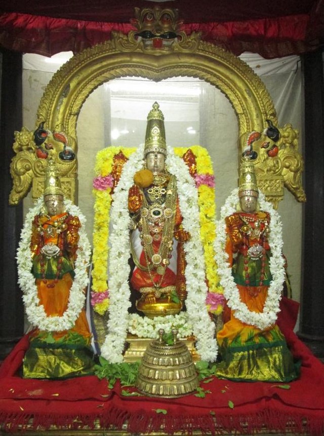 Thiruvallur Sri Veeraraghava  perumal Temple Pavithrotsavam angurarpanam 2014  12