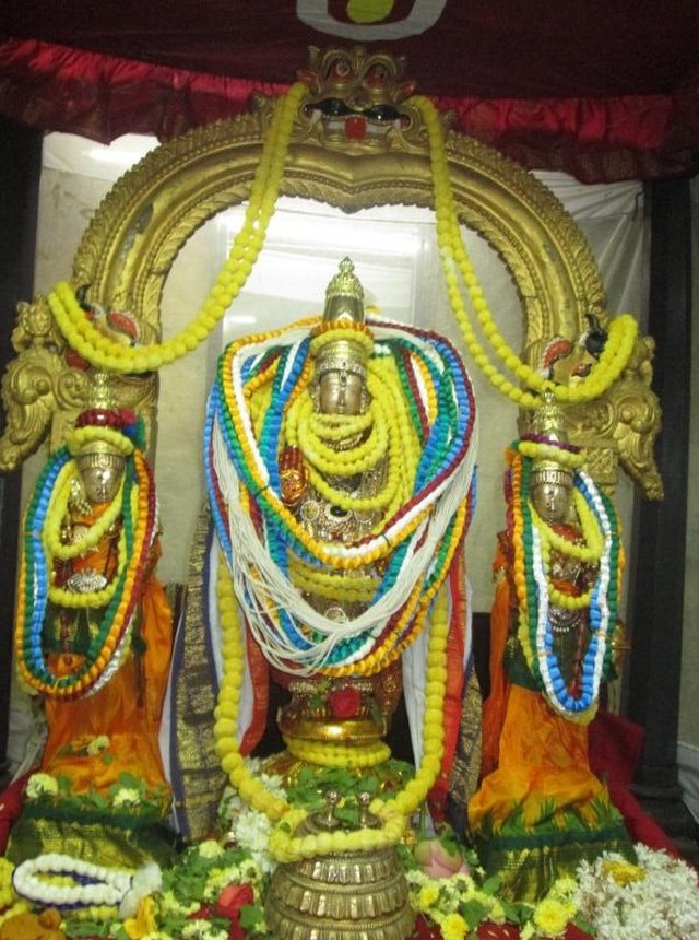 Thiruvallur Sri Veeraraghava  perumal Temple Pavithrotsavam angurarpanam 2014  15