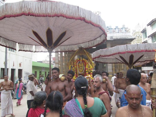 Thiruvallur Sri Veeraraghava  perumal Temple Pavithrotsavam angurarpanam 2014  16