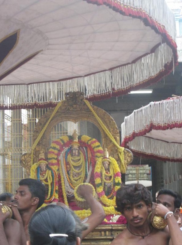 Thiruvallur Sri Veeraraghava  perumal Temple Pavithrotsavam angurarpanam 2014  17