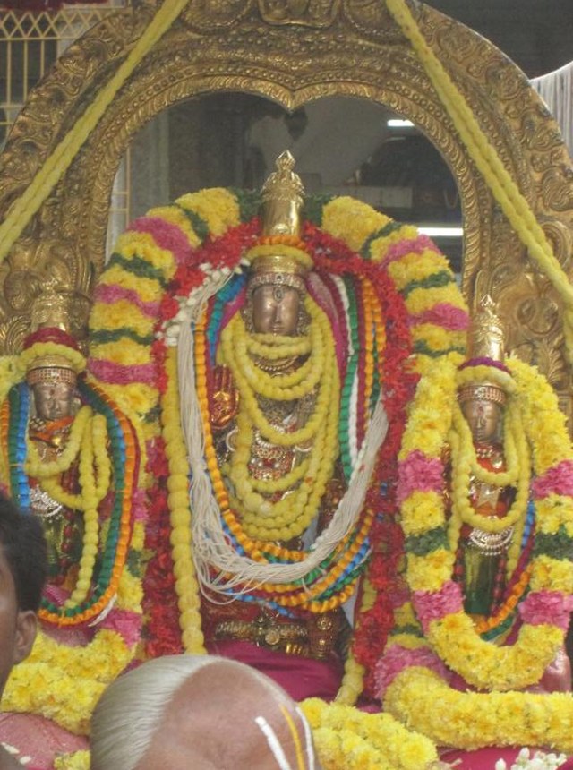 Thiruvallur Sri Veeraraghava  perumal Temple Pavithrotsavam angurarpanam 2014  18