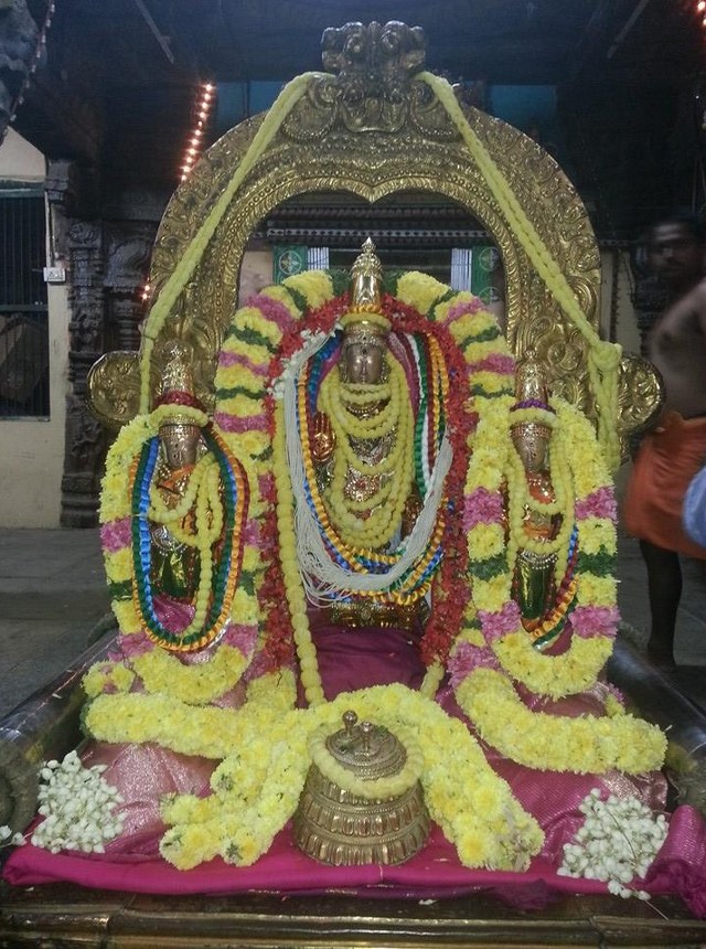 Thiruvallur Sri Veeraraghava  perumal Temple Pavithrotsavam day 1 2014  01