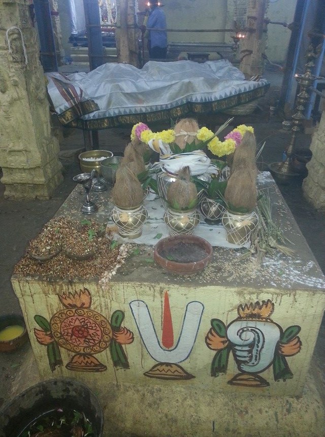 Thiruvallur Sri Veeraraghava  perumal Temple Pavithrotsavam day 1 2014  04