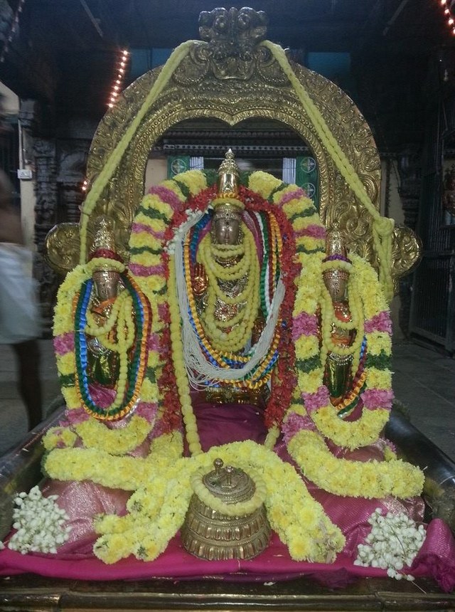 Thiruvallur Sri Veeraraghava  perumal Temple Pavithrotsavam day 1 2014  08