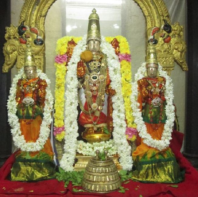 Thiruvallur Veeraraghava Perumal Temple Pavithrotsavam 2014