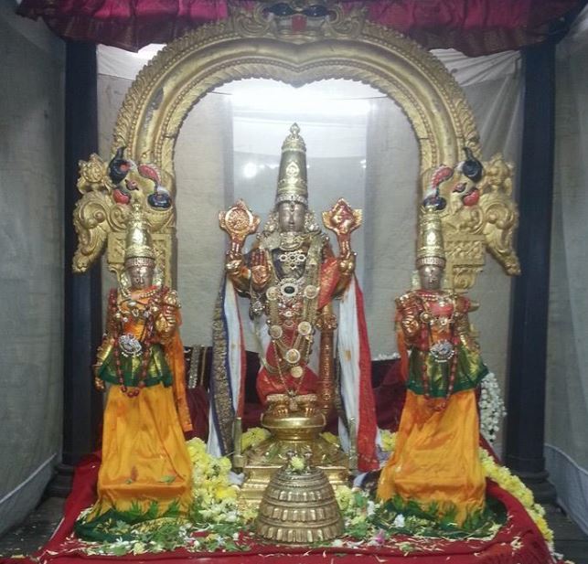 Thiruvallur Veeraraghavan Pavithrotsavam day 7