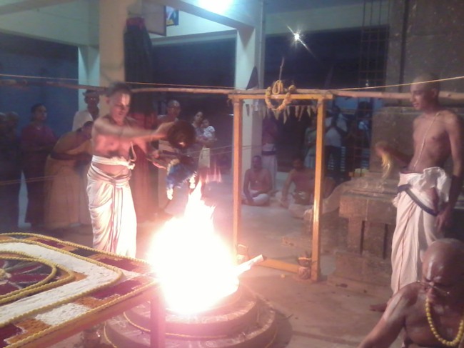 Thiruvekka Divyadesam Thirupavithrotsavam day 2 2014--08