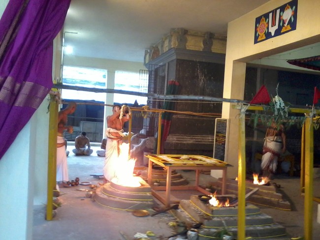 Thiruvekka Sri Yathokthakar  perumal Pavithrotsavam concludes 2014  03