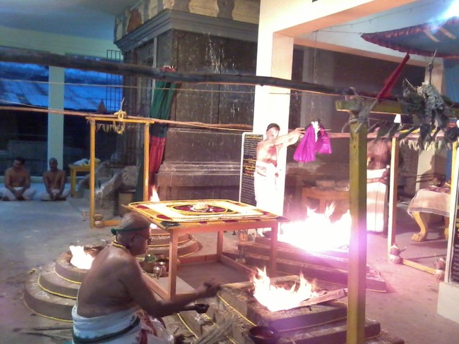 Thiruvekka Sri Yathokthakar  perumal Pavithrotsavam concludes 2014  05
