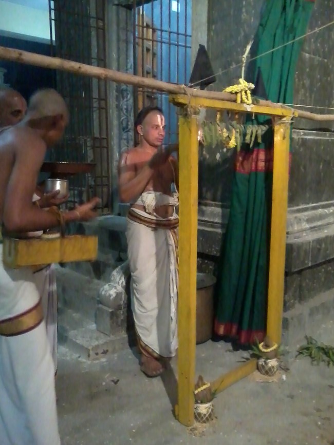 Thiruvekka Sri Yathokthakar  perumal Pavithrotsavam concludes 2014  10