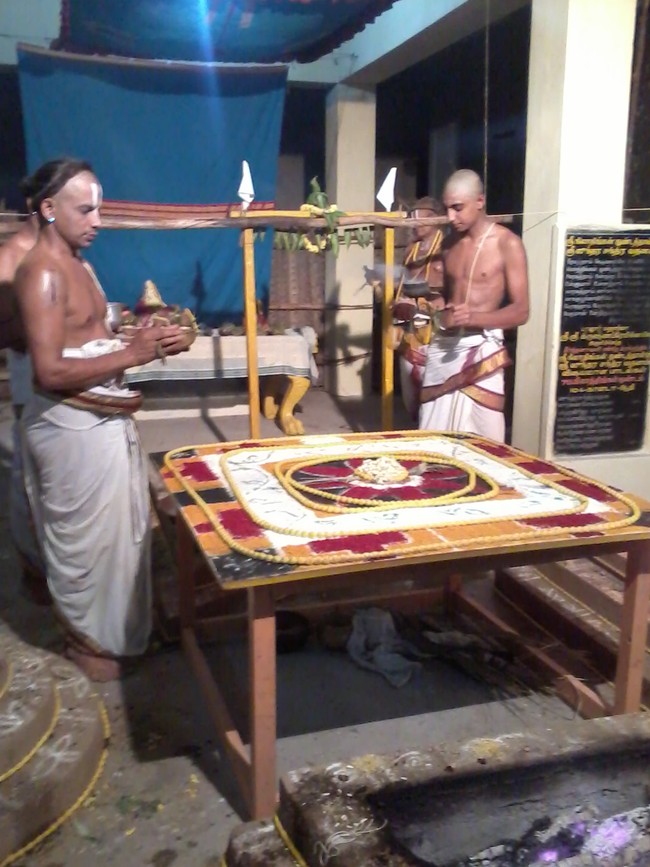Thiruvekka Sri Yathokthakar  perumal Pavithrotsavam concludes 2014  12