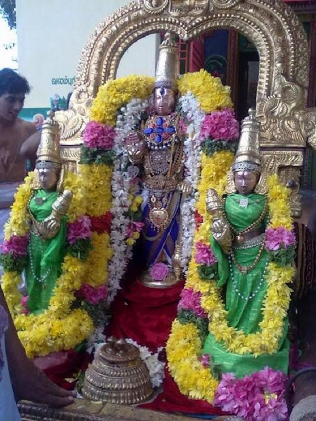 Thiruvekka Sri Yathokthakari Swamy Temple Uriyadi Utsavam6