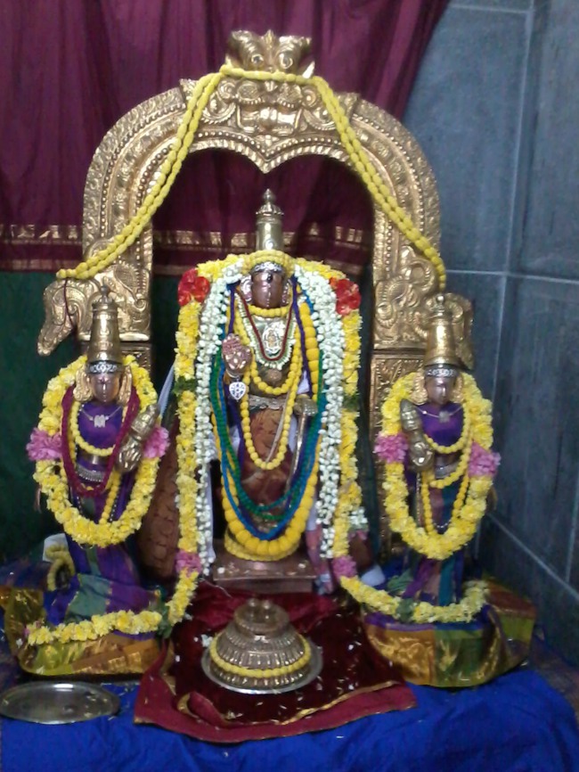 Thiruvekka Yathokthakari Divyadesam Pavithrotsavam day 1 2014--02