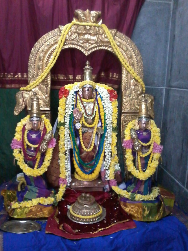 Thiruvekka Yathokthakari Divyadesam Pavithrotsavam day 1 2014--03