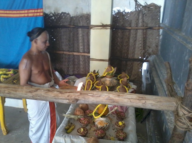 Thiruvekka Yathokthakari Divyadesam Pavithrotsavam day 1 2014--11