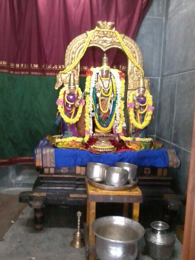 Thiruvekka Yathokthakari Divyadesam Pavithrotsavam day 1 2014--15