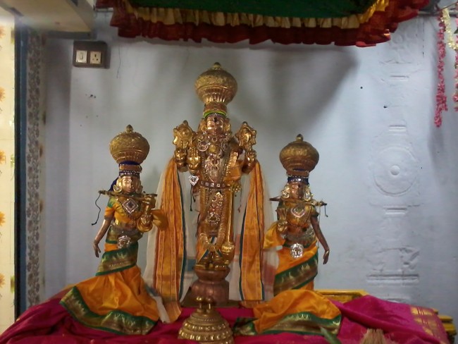 Thiruvelukkai Divyadesam Avatara Utsavam   2014 16