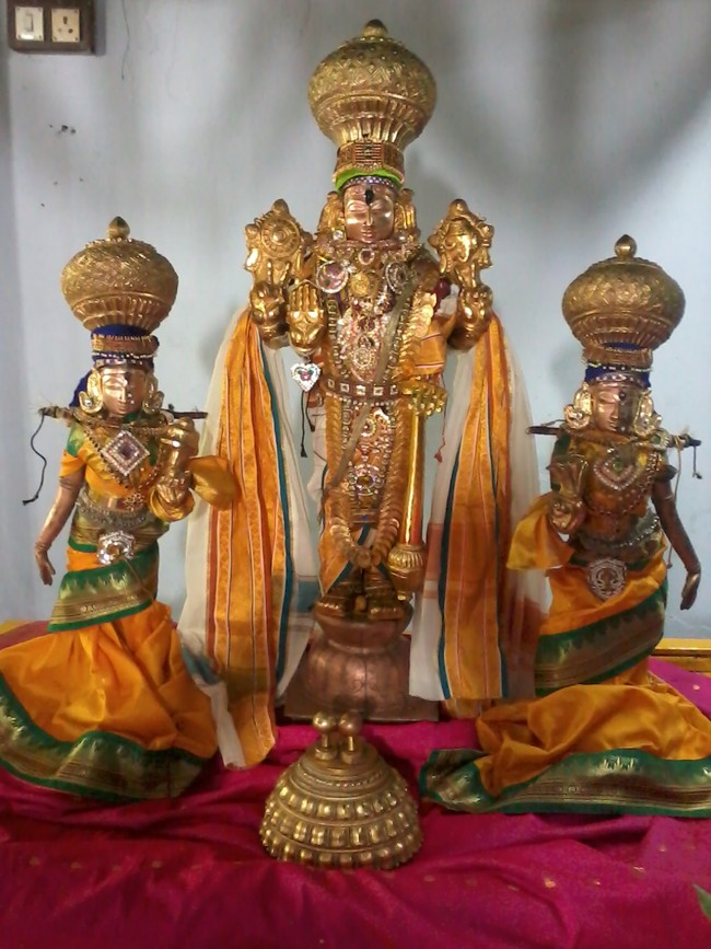 Thiruvelukkai Divyadesam Avatara Utsavam   2014 17