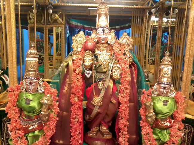 Thiruvelukkai Divyadesam Avatara Utsavam   2014 28