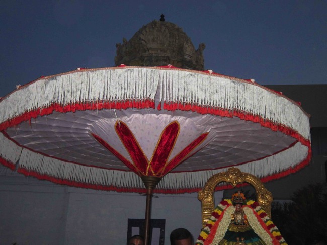 Thiruvelukkai Sri Amirthavalli Thayar Kadai Avani  Velli Purappadu 2014--0007