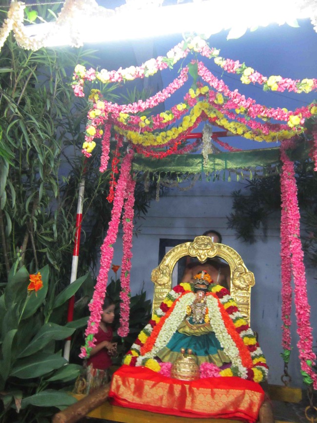 Thiruvelukkai Sri Amirthavalli Thayar Kadai Avani  Velli Purappadu 2014--0008