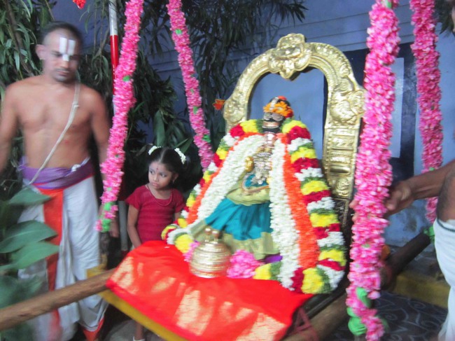 Thiruvelukkai Sri Amirthavalli Thayar Kadai Avani  Velli Purappadu 2014--0009