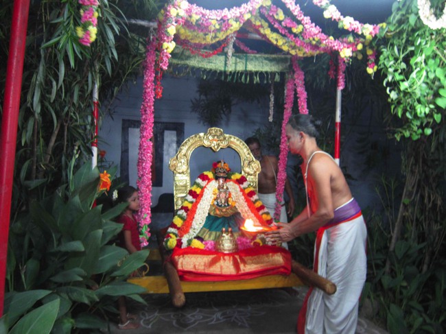 Thiruvelukkai Sri Amirthavalli Thayar Kadai Avani  Velli Purappadu 2014--0012
