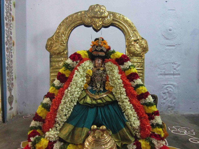 Thiruvelukkai Sri Amirthavalli Thayar Kadai Avani  Velli Purappadu 2014--0018