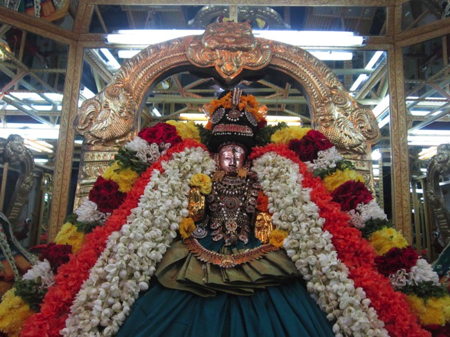 Thiruvelukkai Sri Amirthavalli Thayar Kadai Avani  Velli Purappadu 2014--0019