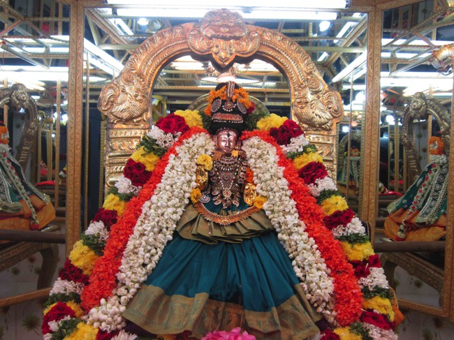 Thiruvelukkai Sri Amirthavalli Thayar Kadai Avani  Velli Purappadu 2014--0021
