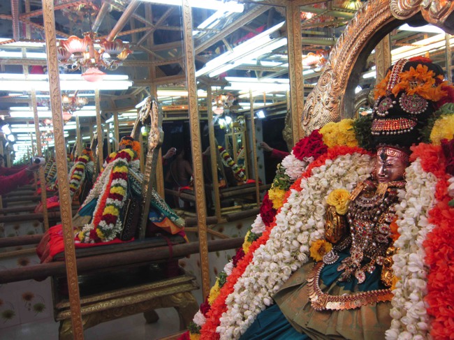 Thiruvelukkai Sri Amirthavalli Thayar Kadai Avani  Velli Purappadu 2014--0023