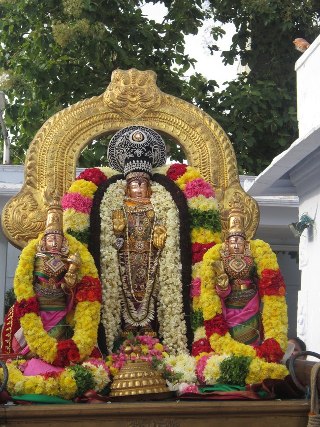 Thiruvelukkai Sri Azhagiya Singaperumal Temple Uriyadi Utsavam  2014 02