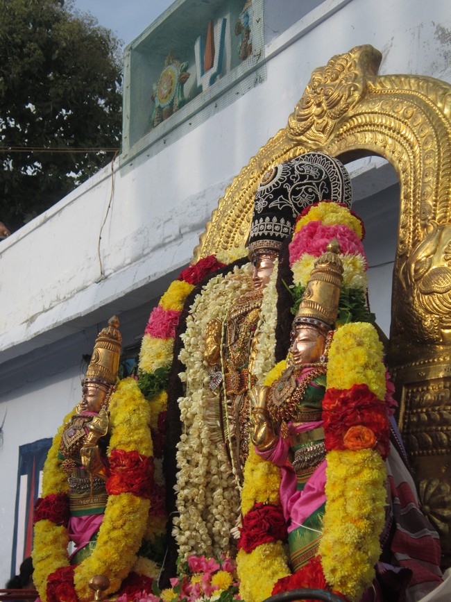 Thiruvelukkai Sri Azhagiya Singaperumal Temple Uriyadi Utsavam  2014 03