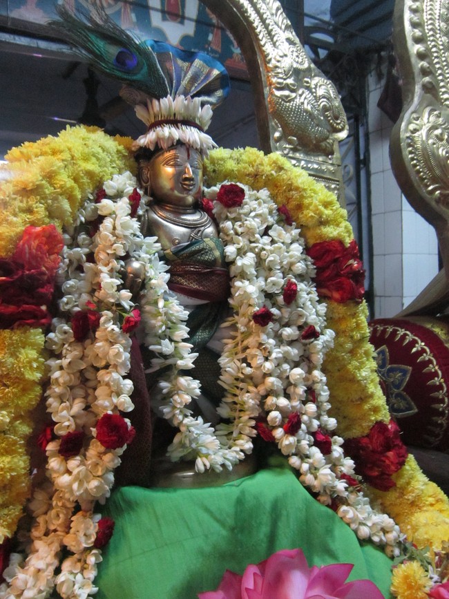 Thiruvelukkai Sri Azhagiya Singaperumal Temple Uriyadi Utsavam  2014 21