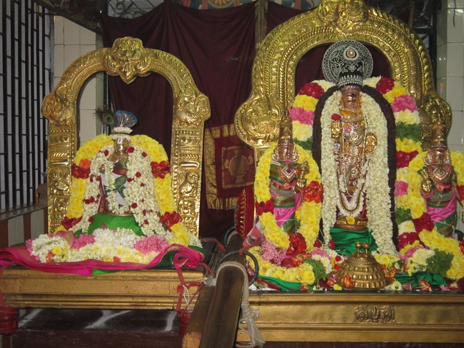 Thiruvelukkai Sri Azhagiya Singaperumal Temple Uriyadi Utsavam  2014 26