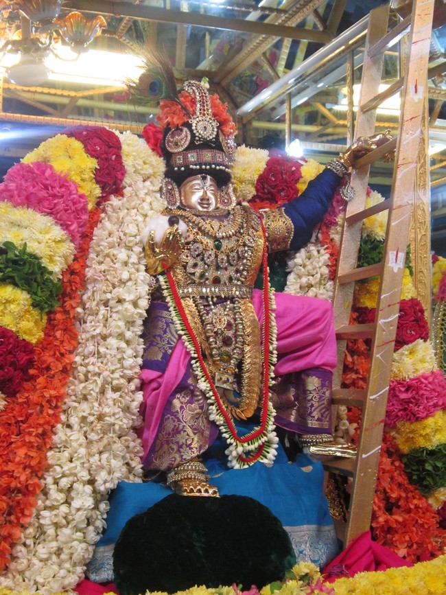 Thiruvelukkai Sri Azhagiyasinga perumal temple  Sri Jayanthi Utsavam 2014 21