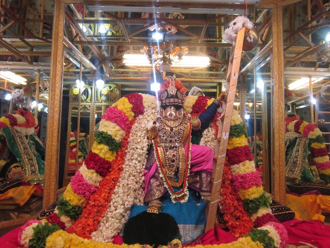 Thiruvelukkai Sri Azhagiyasinga perumal temple  Sri Jayanthi Utsavam 2014 24