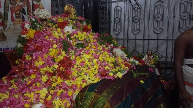 Thiruvinnagar Oppiliappan Kovil  Pushpayagam 2014  6