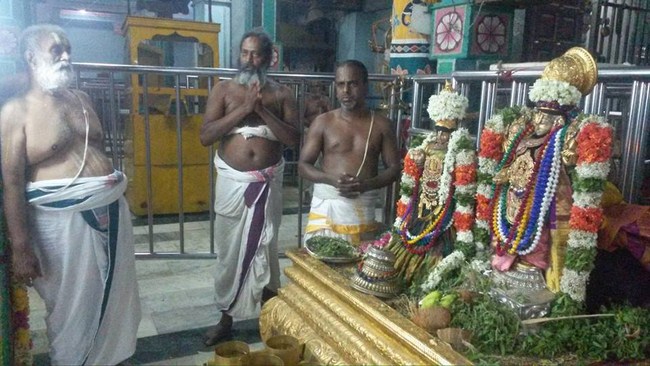 Thiruvinnagar Sri Oppilliappan Venkatachalapathi Temple ThiruPavithrotsavam11