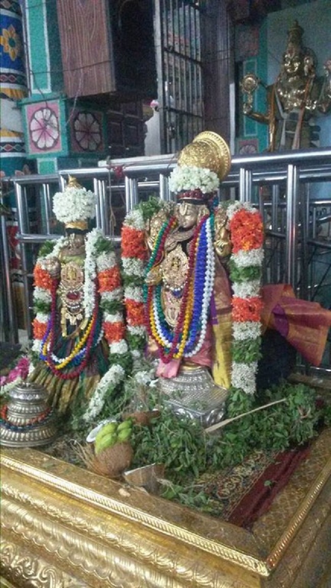 Thiruvinnagar Sri Oppilliappan Venkatachalapathi Temple ThiruPavithrotsavam12